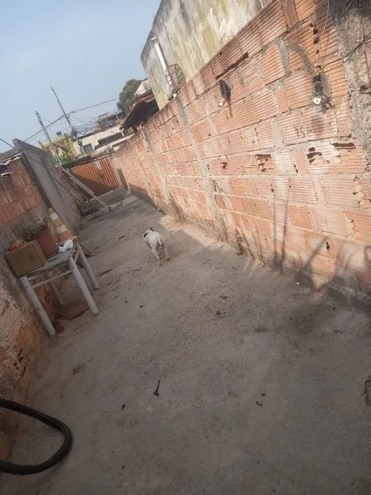 foto - Ribeirão das Neves - 