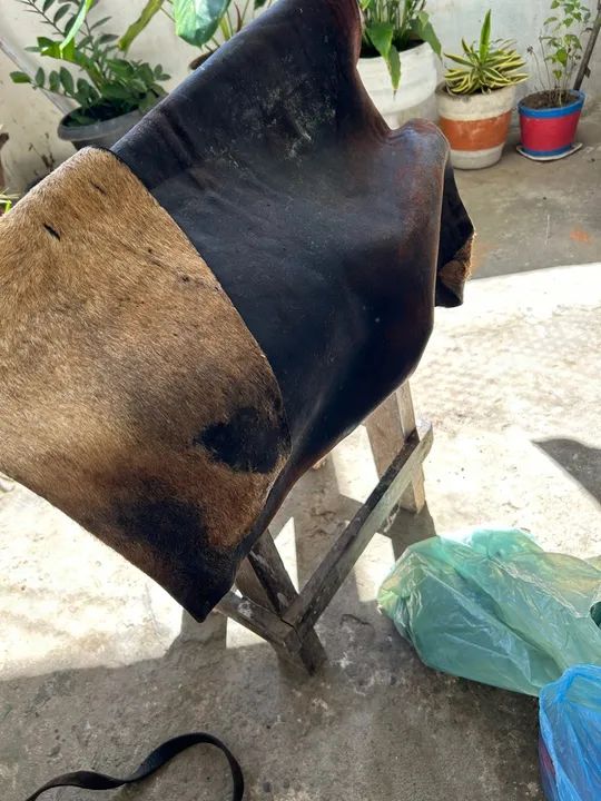 Sela australiana completa - Foto 2