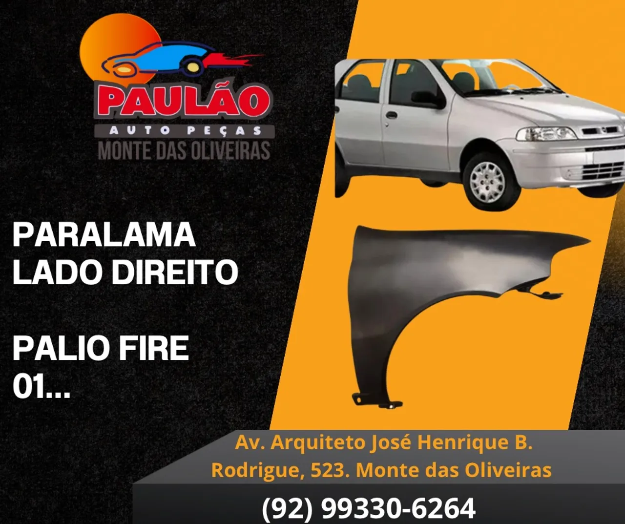 Paralama Lado Direito Palio Fire 01...