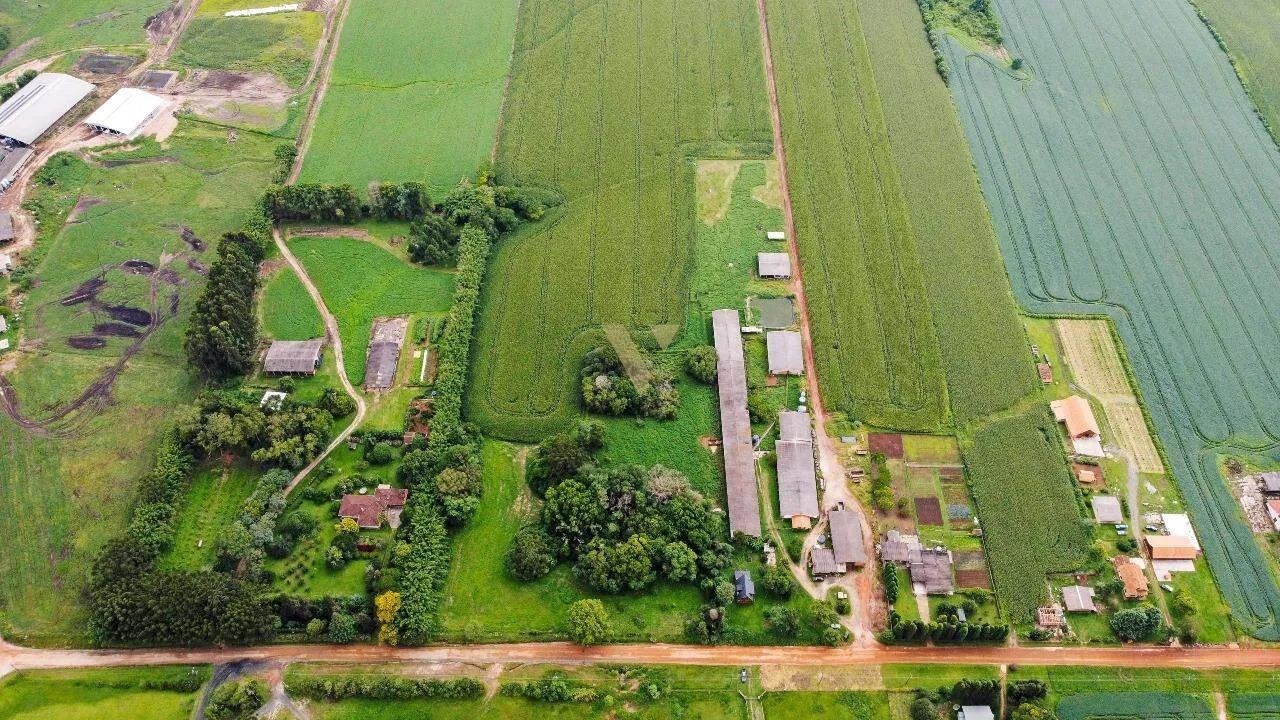 Terreno rural na Colônia Witmarsum, Palmeira - PR - Foto 5