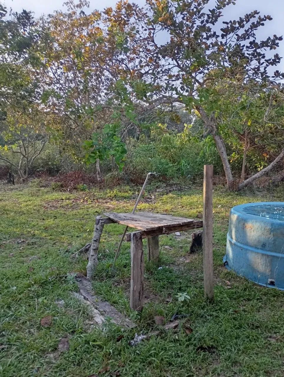 Vendo sítio 35.000.00  - Foto 2