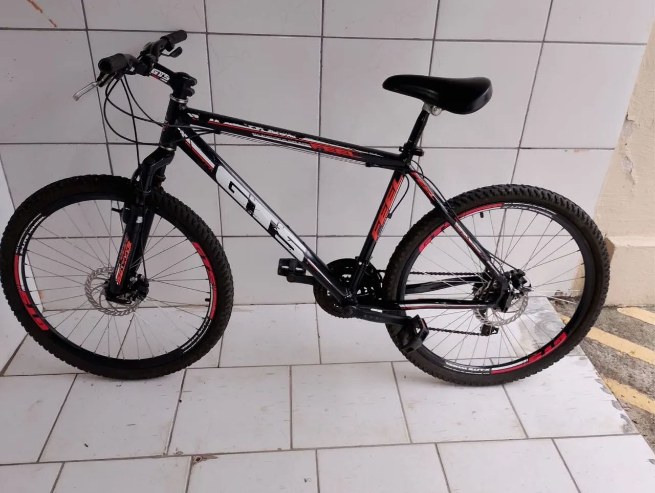 Bicicleta 