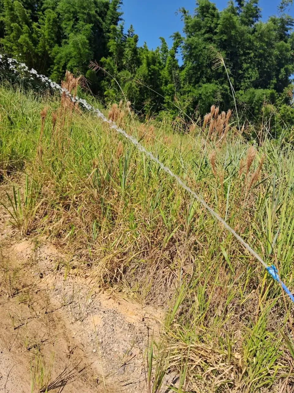 Terreno em Guararema aceito propostas - Foto 5