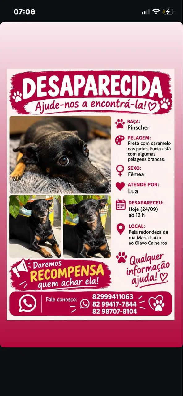 Desaparecimento  - Foto 2