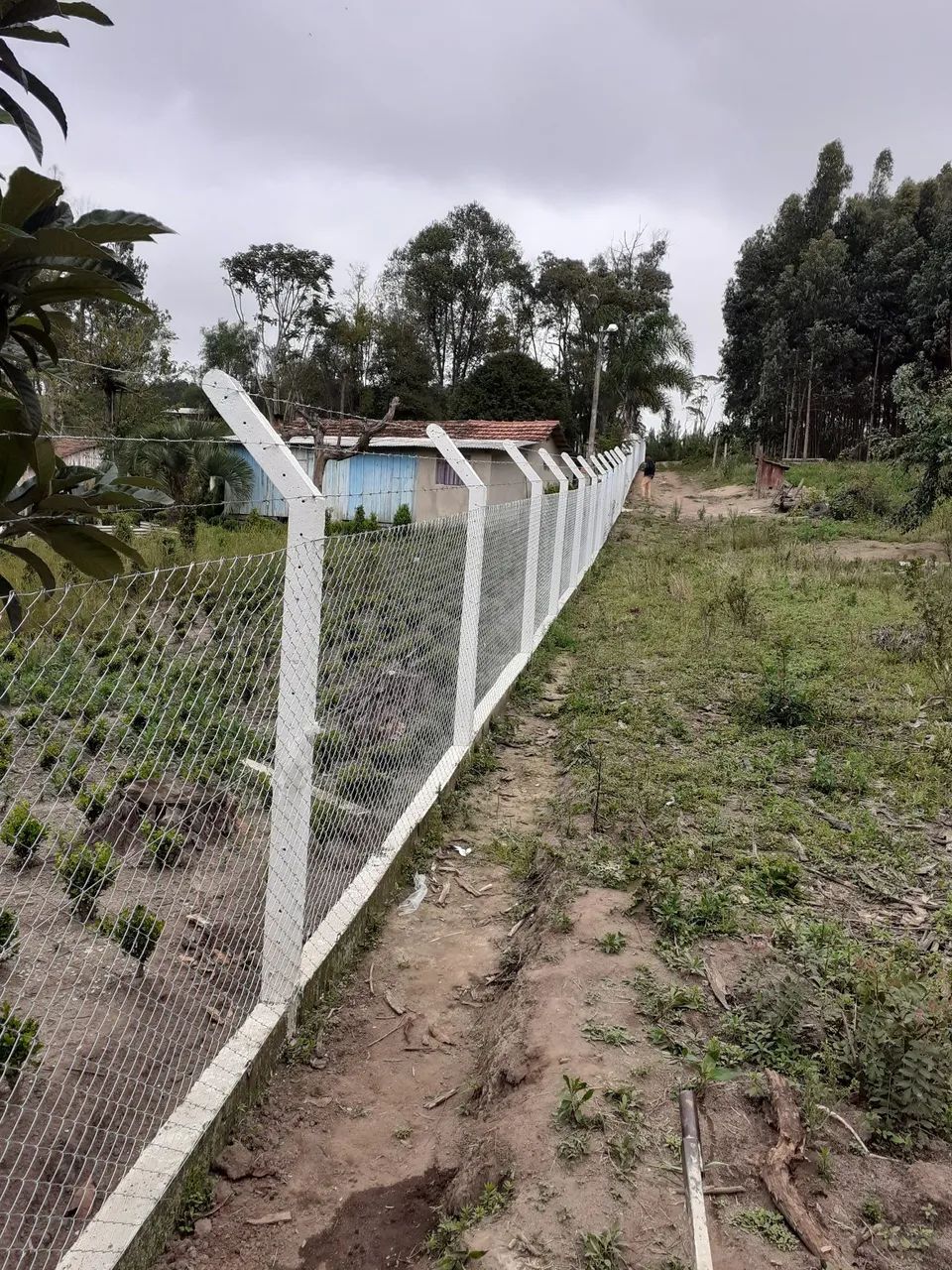 Cerca de alambrado  - Foto 2