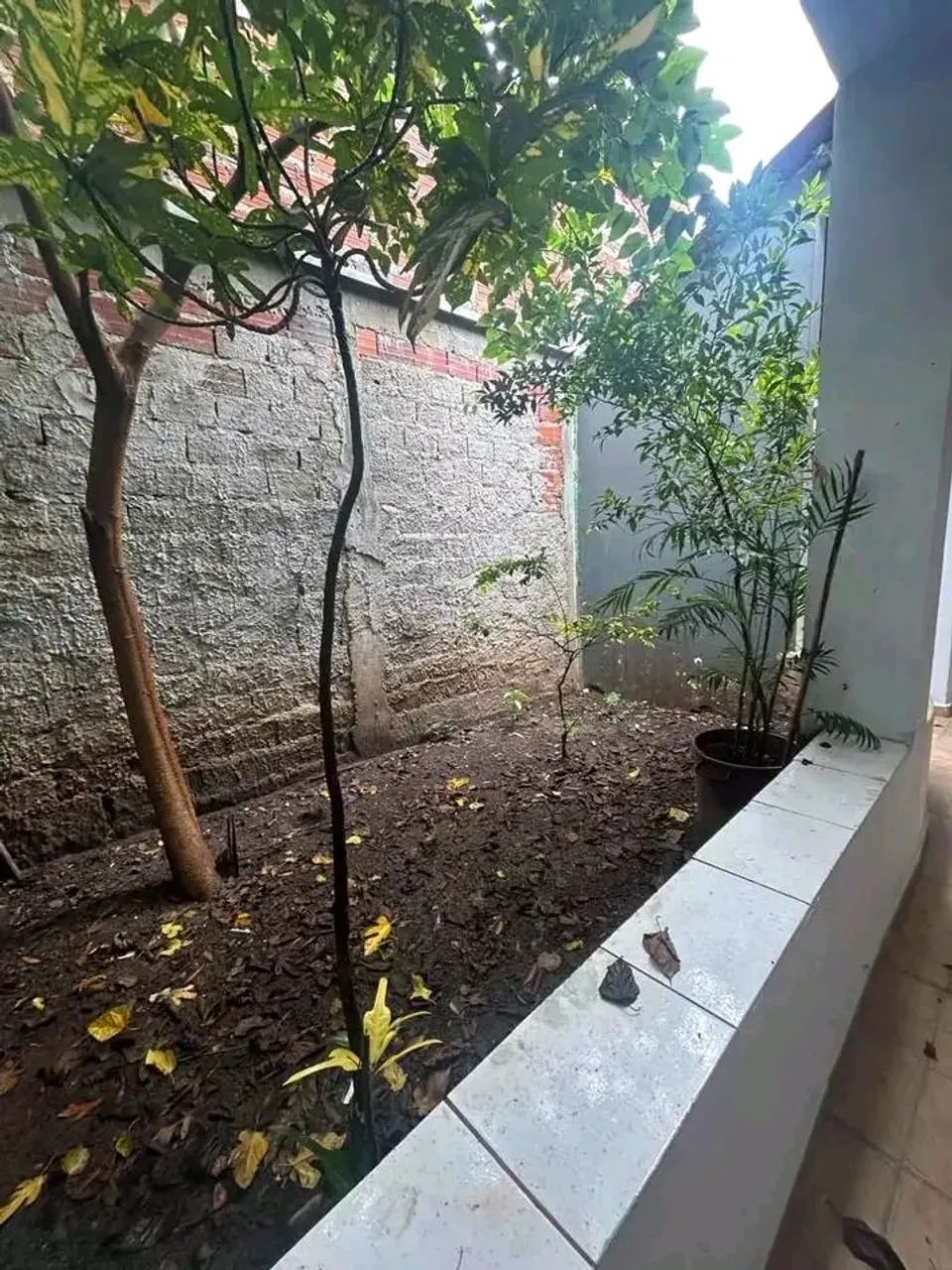 Vendo casa no curuçamba  - Foto 4