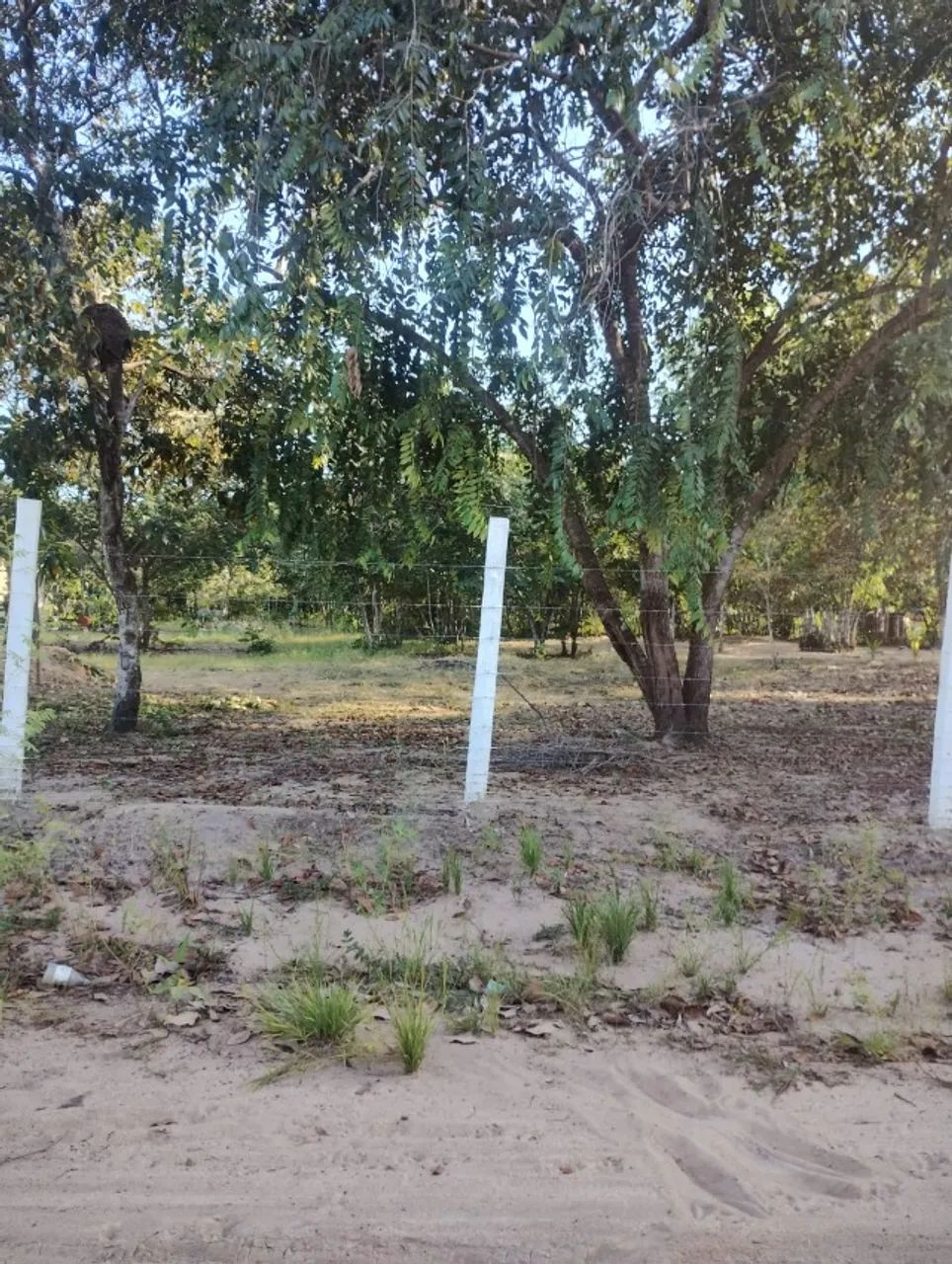 CHÁCARA À VENDA NO CANTÁ - RR - Foto 2