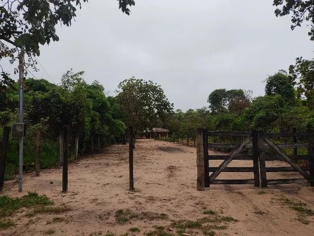 Vendo ou troco chácara (5.000m2) - 79079-090