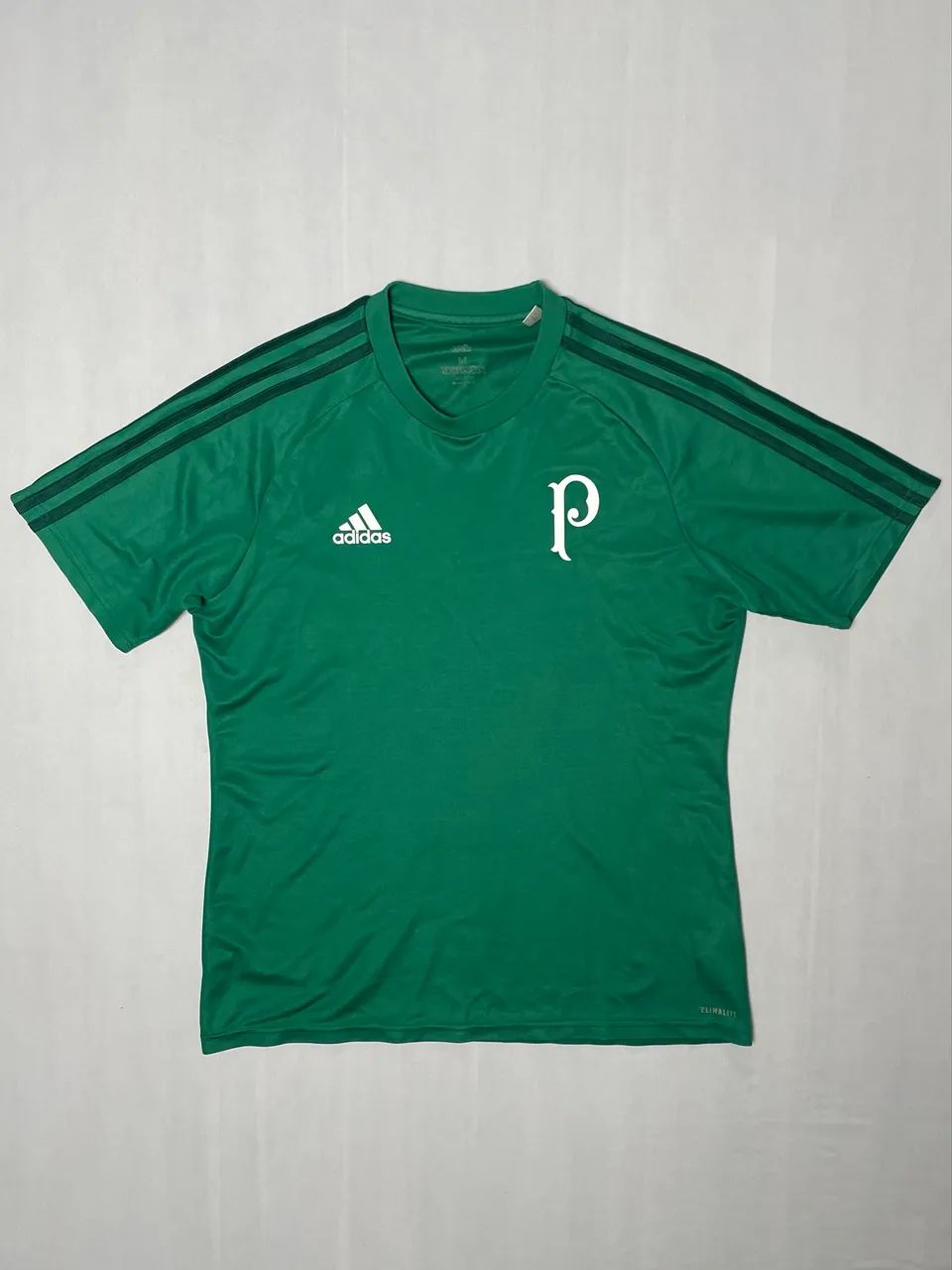 Camiseta Palmeiras Treino 2017