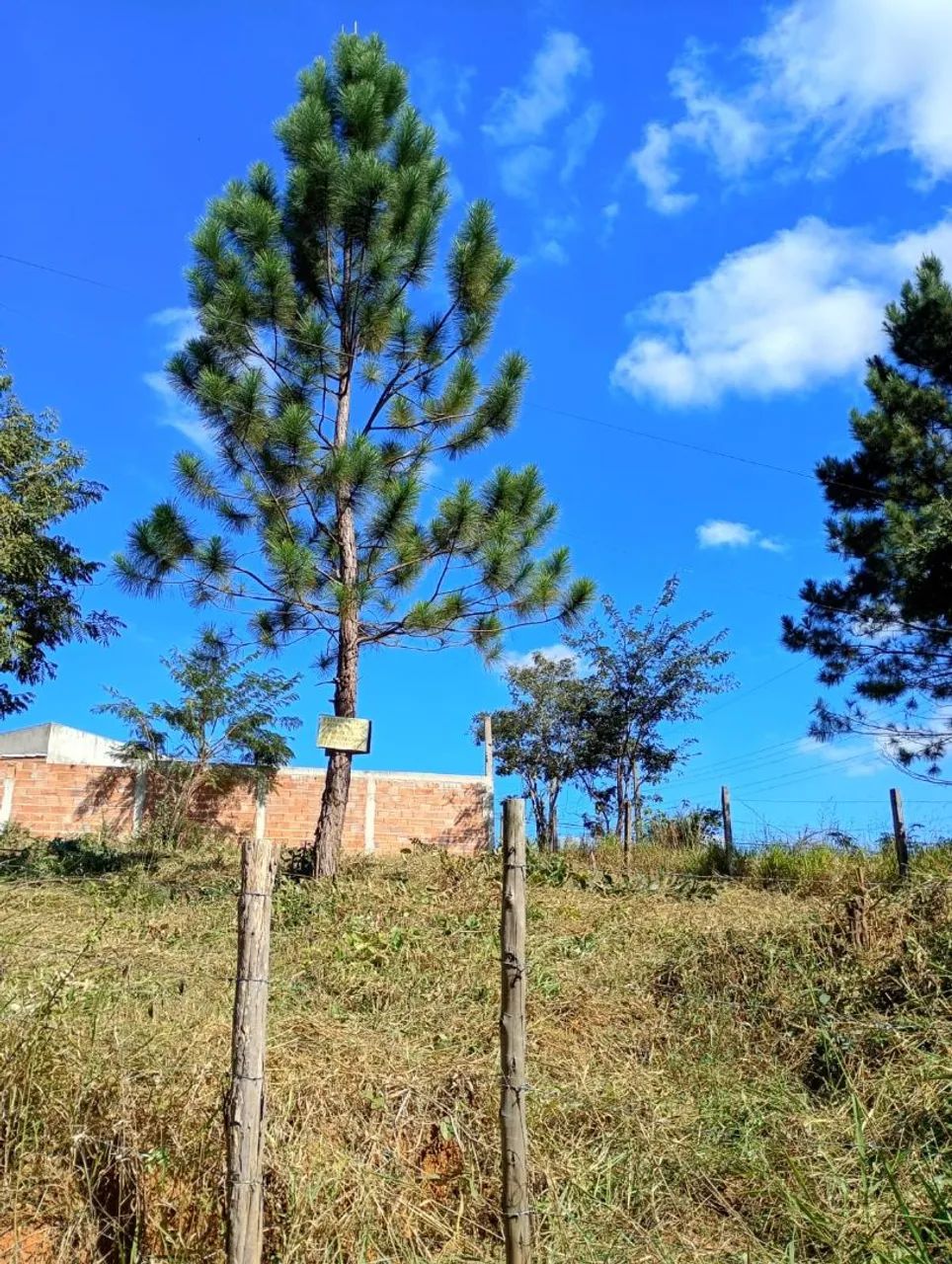 Lote em São Joaquim de Bicas - Foto 2