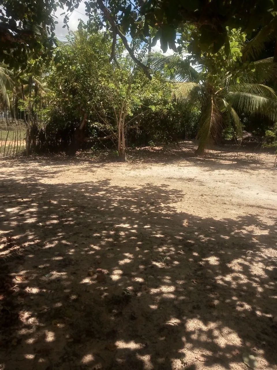 Vende-se um sítio com duas casas! - Foto 2