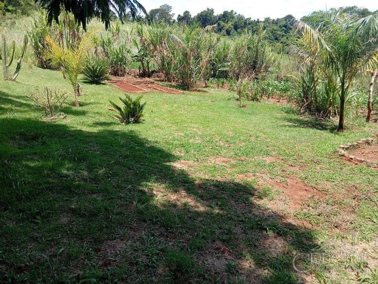 Chácara com 4.000m2 - Tamarana - Pomar e baldrame pronto para construir casa - Foto 4
