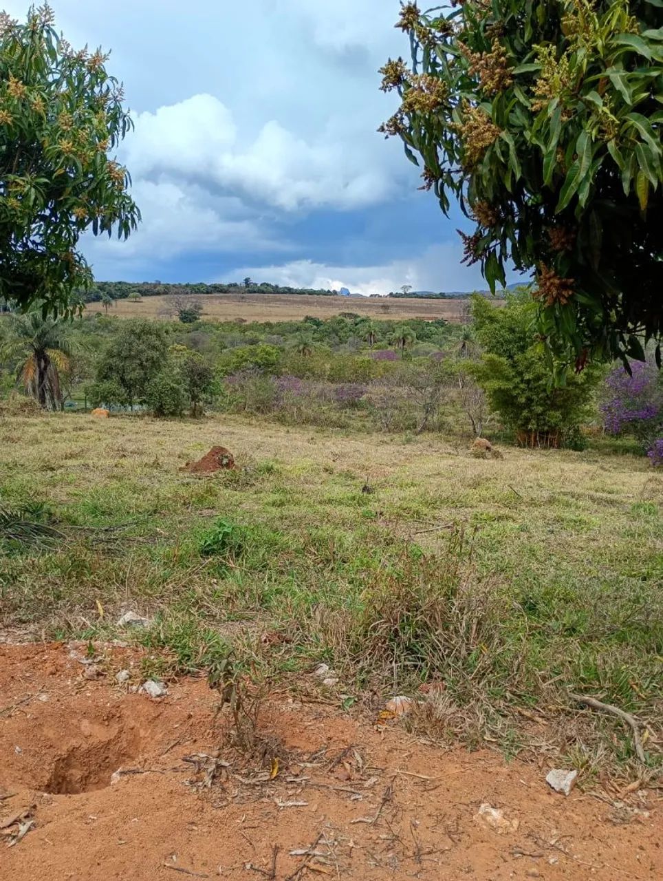 Terreno em serra azul Mateus leme  - Foto 3