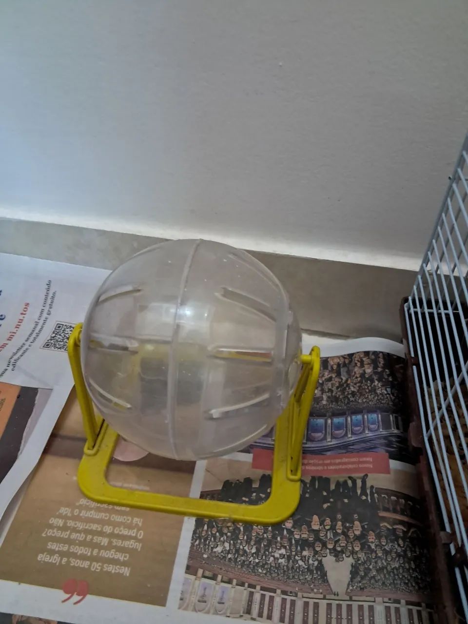 Pet - Foto 4