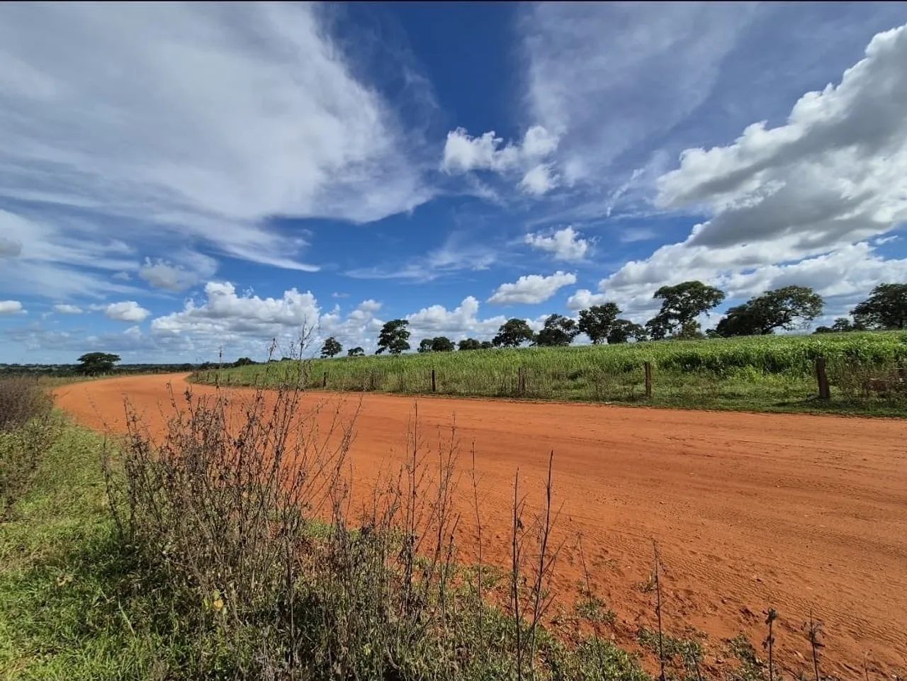 Fazenda em santa vitória  - Foto 2