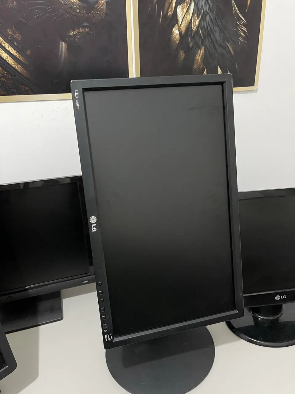 Monitor LG 20 polegadas 