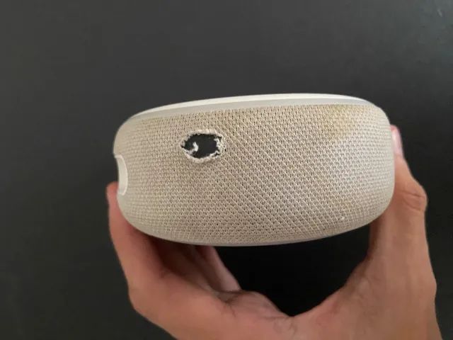 Alexa - Foto 4