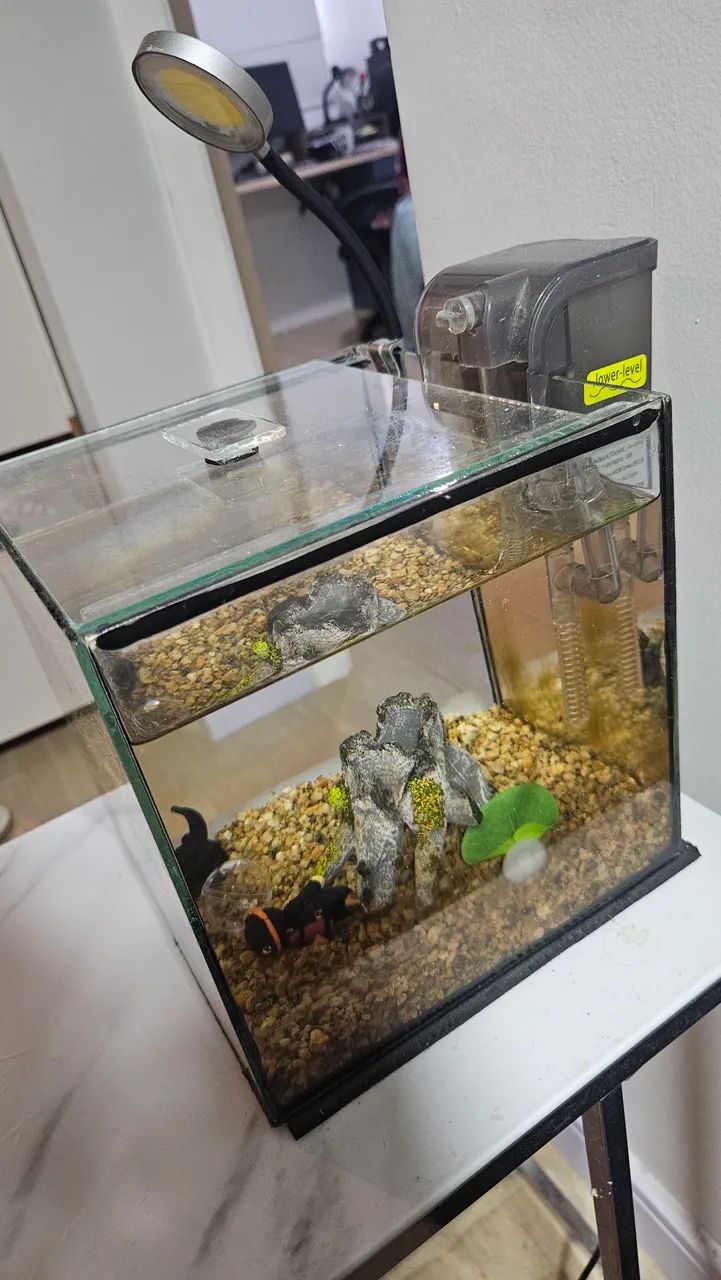 VENDO AQUÁRIO 7 LITROS ( BETTA) - Foto 2