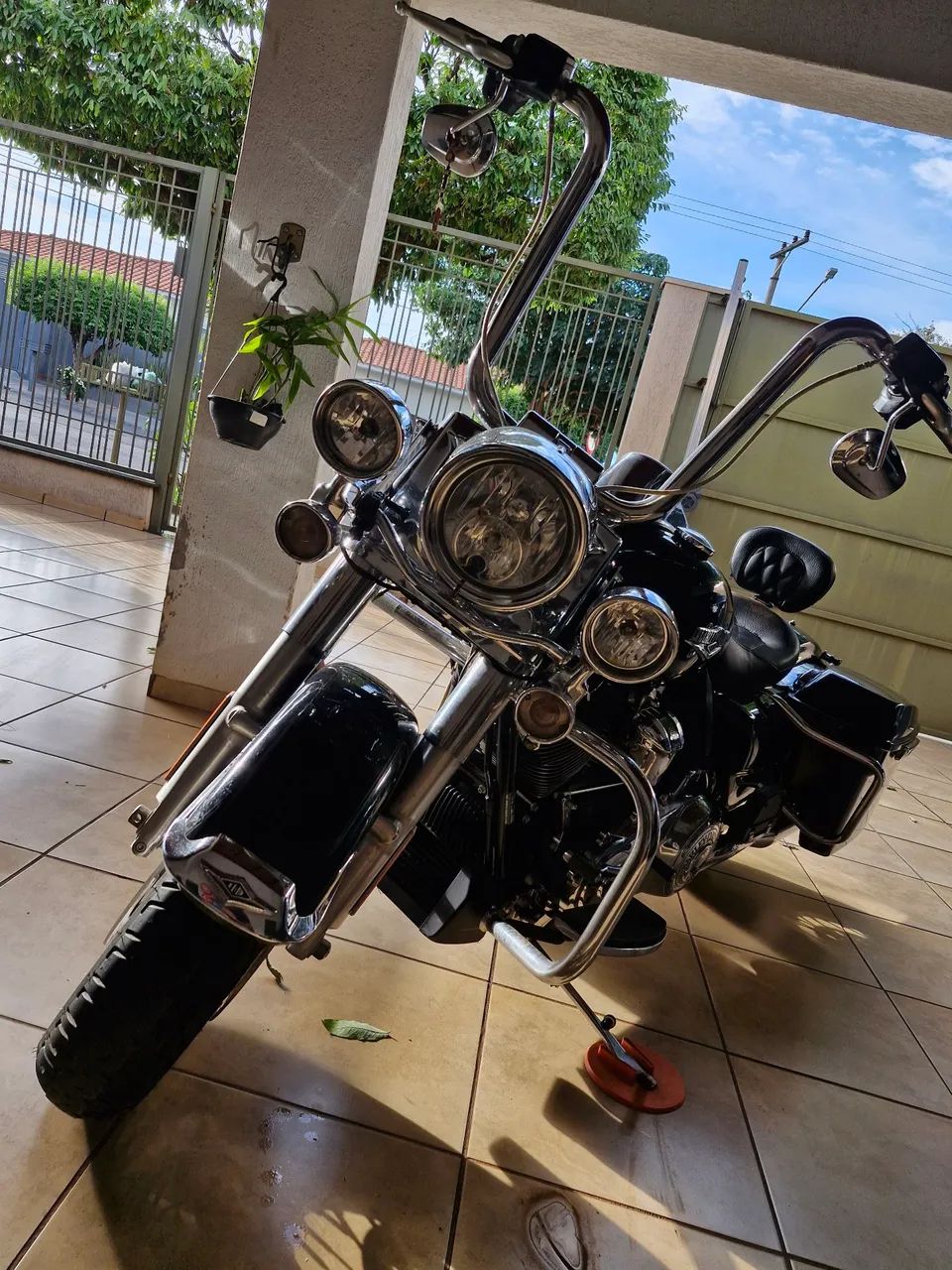 ROADKING EXCLUSIVA - Foto 2