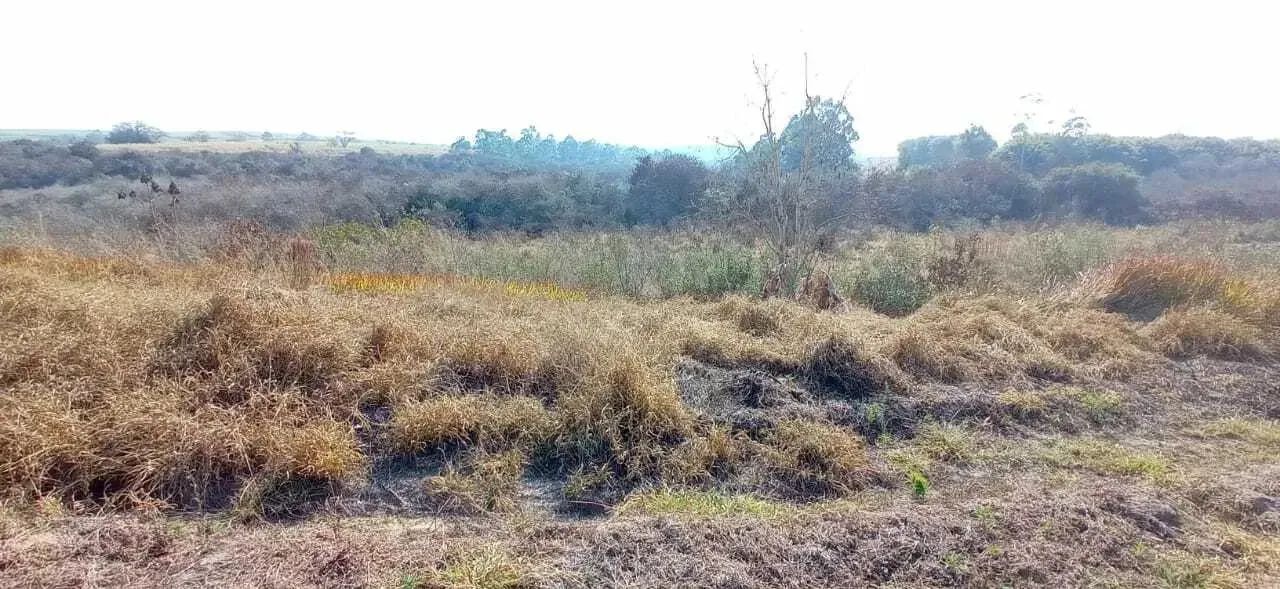 Lote em Rua Caminho D, lote 21 - Jardim Primavera - São Pedro/SP - Foto 2
