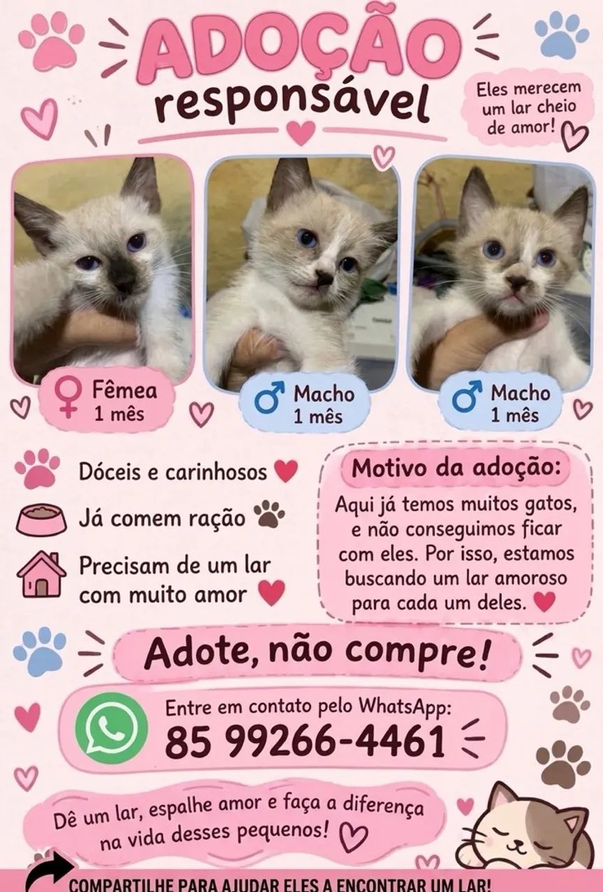 Doação responsável!!
