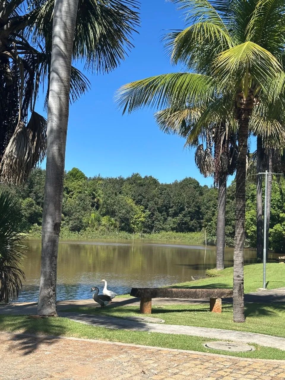 Lote à Venda em Condomínio Fechado de Chácaras - Guapó/GO - Foto 11