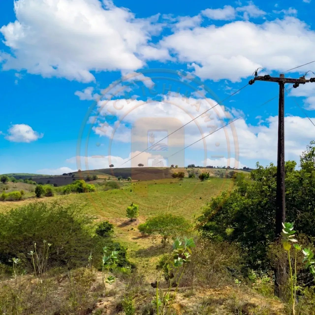 FAZENDA de 750 tarefas - ITABI - Foto 3
