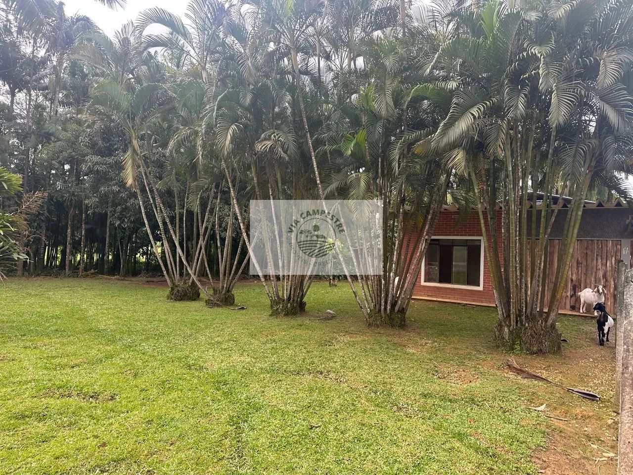 Propriedade rural com 22.400 m2, escriturada, com casa de 4 dormitorios, com riacho - Foto 4