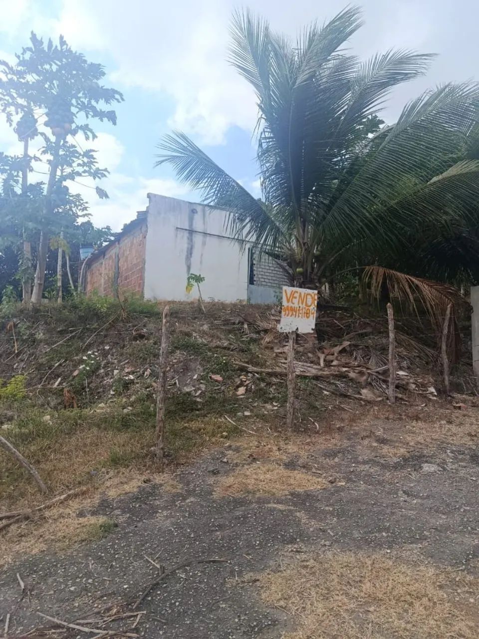 Terreno 