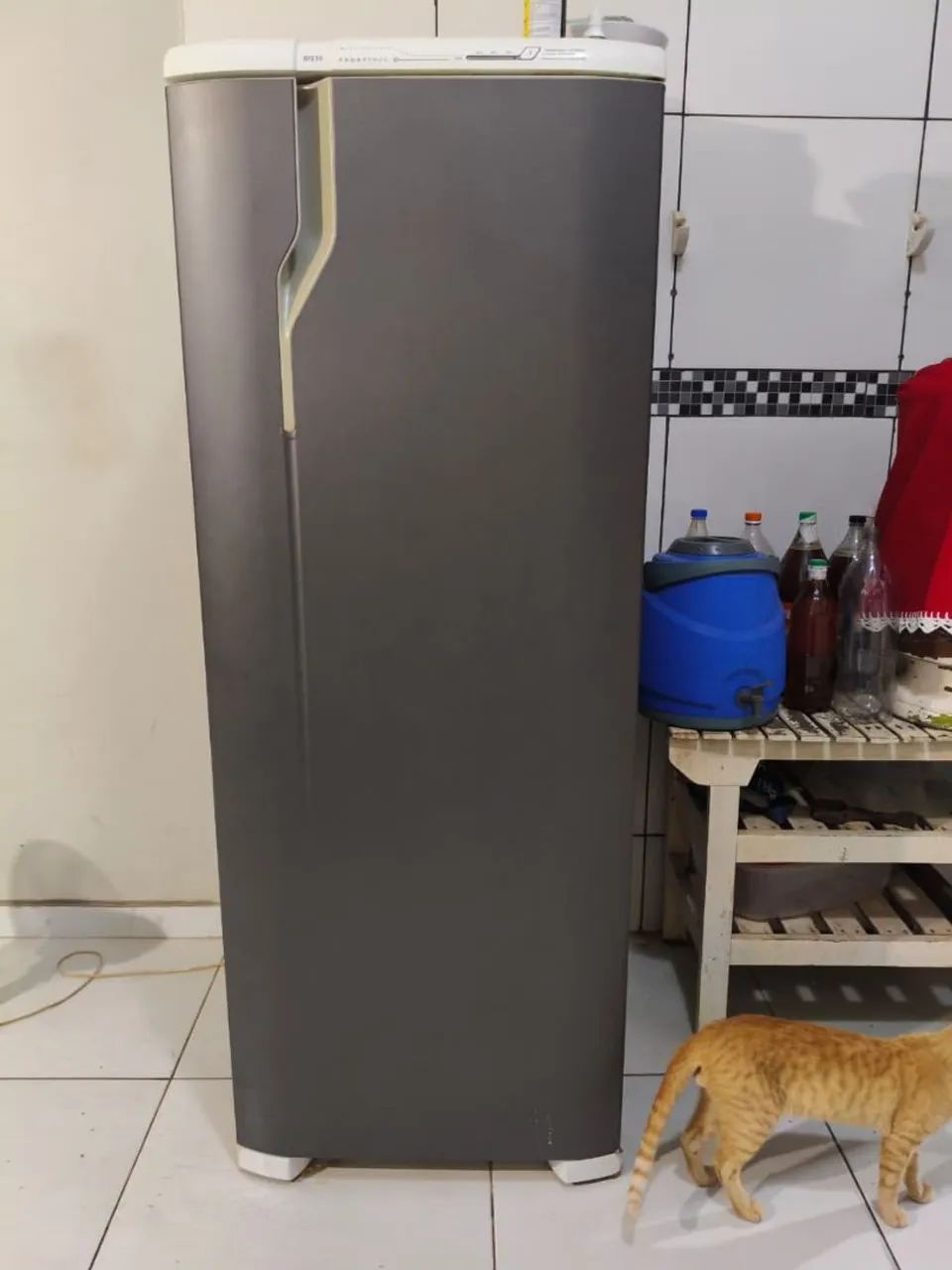 Vendo geladeira em perfeito estado e bem conservada - Foto 4