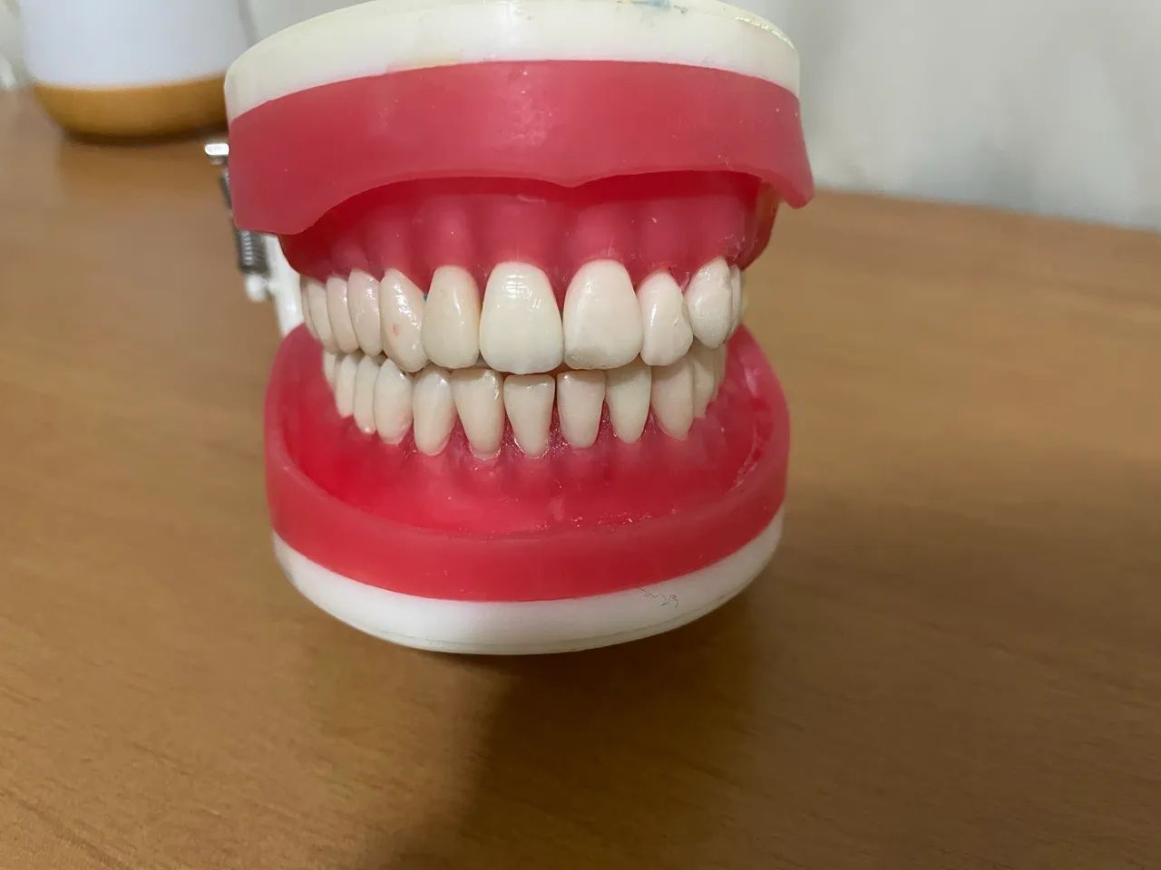 Manequim dentística pronew - Foto 3