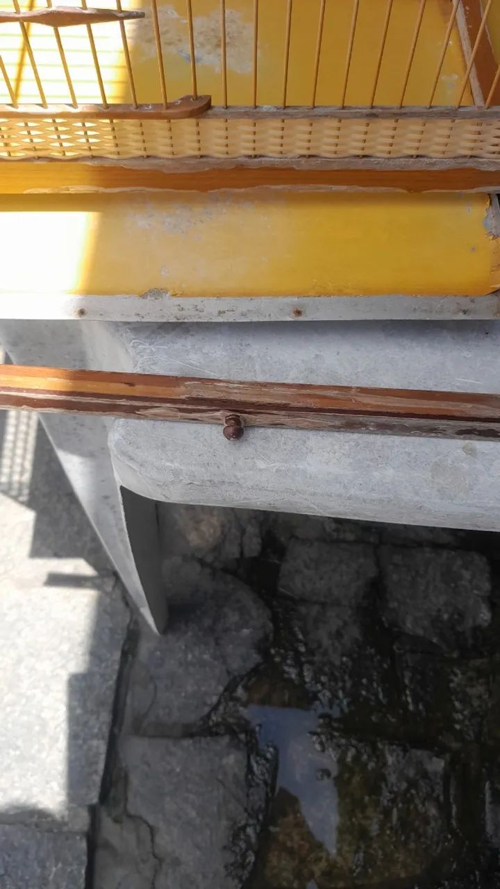 Gaiola Voador de 1 metro  - Foto 2