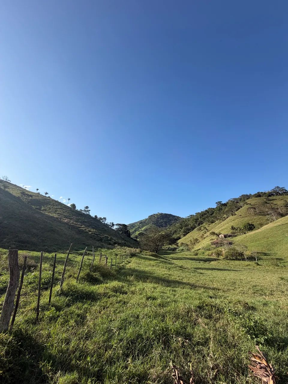 Propriedade em Tanque D?Arca Alagoas 