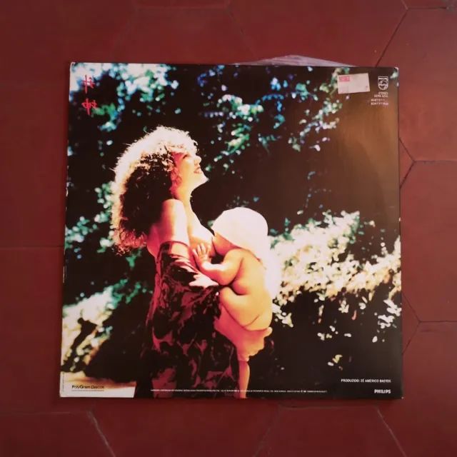 LP Vinil Elba Ramalho - Fruto - 1988 - Original - Foto 3