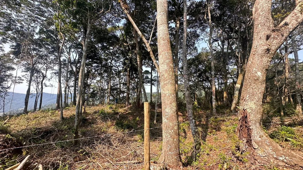 CHÁCARA À VENDA EM CAMBORIÚ - SC - Foto 5