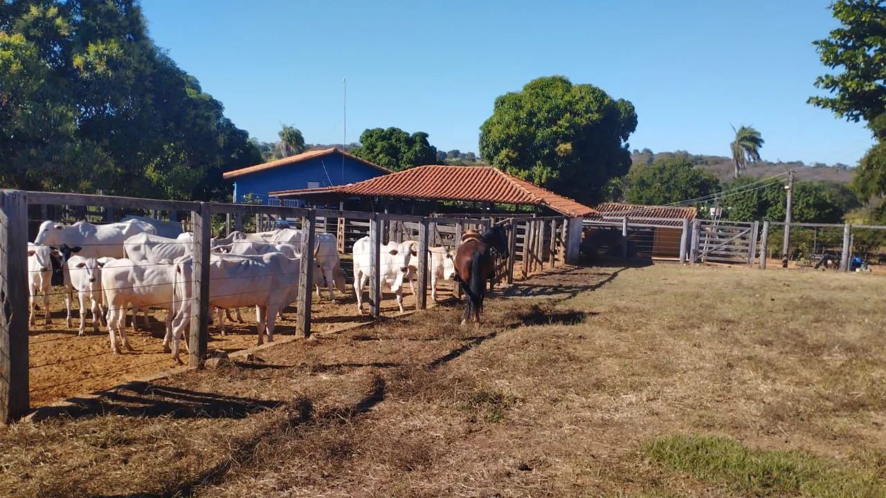 Fazenda 339 Hectares/2 Rios,Toda cercada...