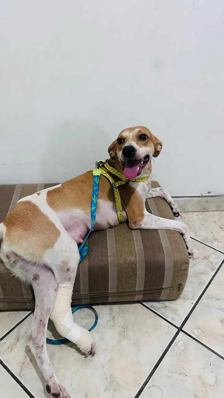 Doação 