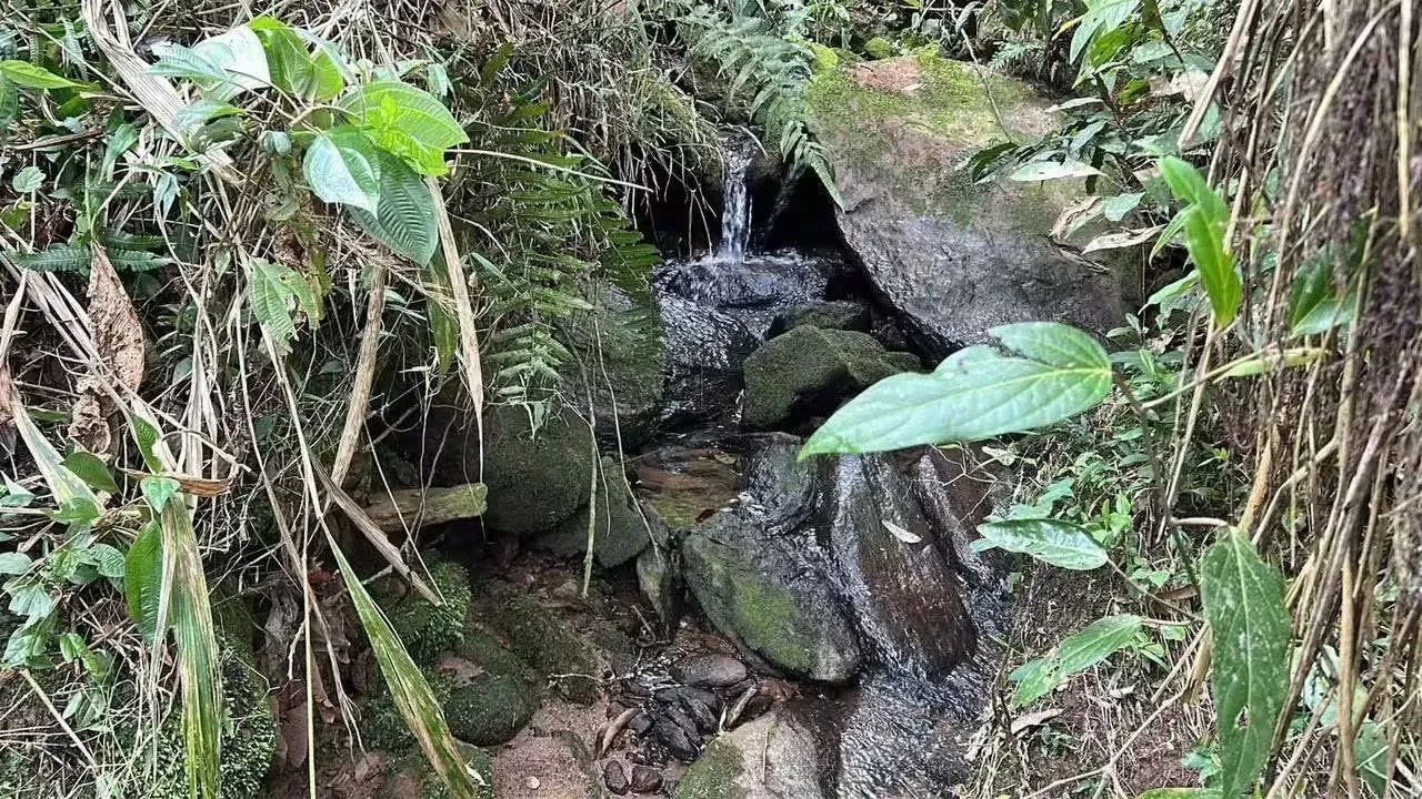 ENCONTRO DAS ÁGUAS