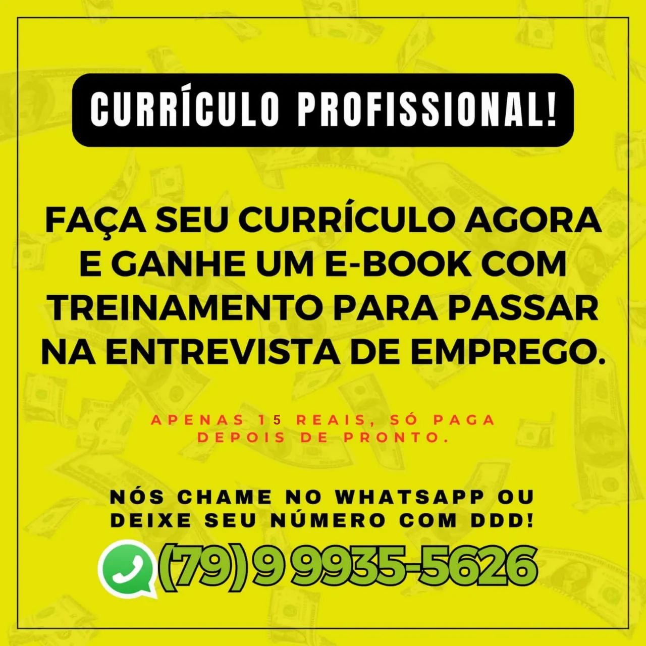 Currículo Profissional.