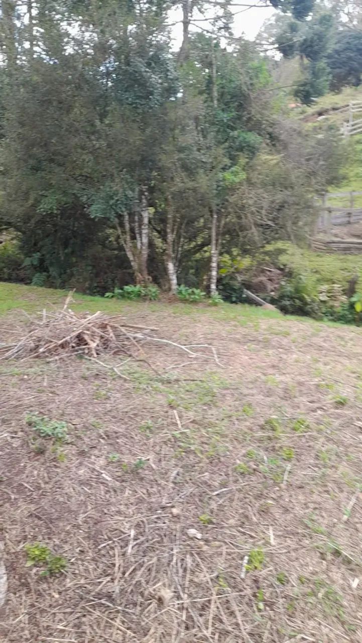 Chácara 2.000m² em Marmelópolis-Mg  - Foto 4