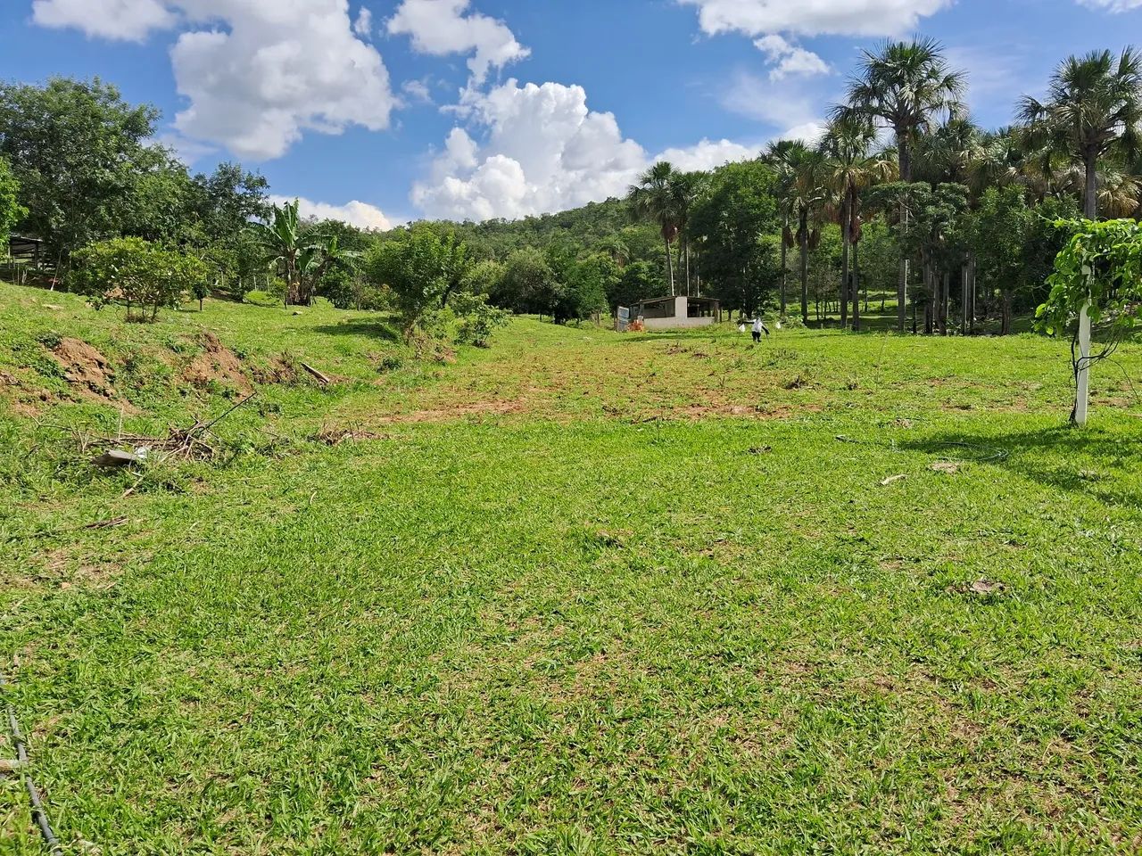Fazenda 67 hectares 60 km do Ceasa  - Foto 3