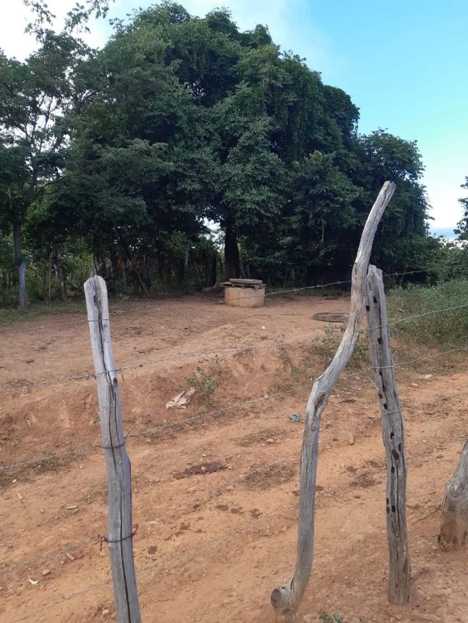 Fazenda  - Foto 4