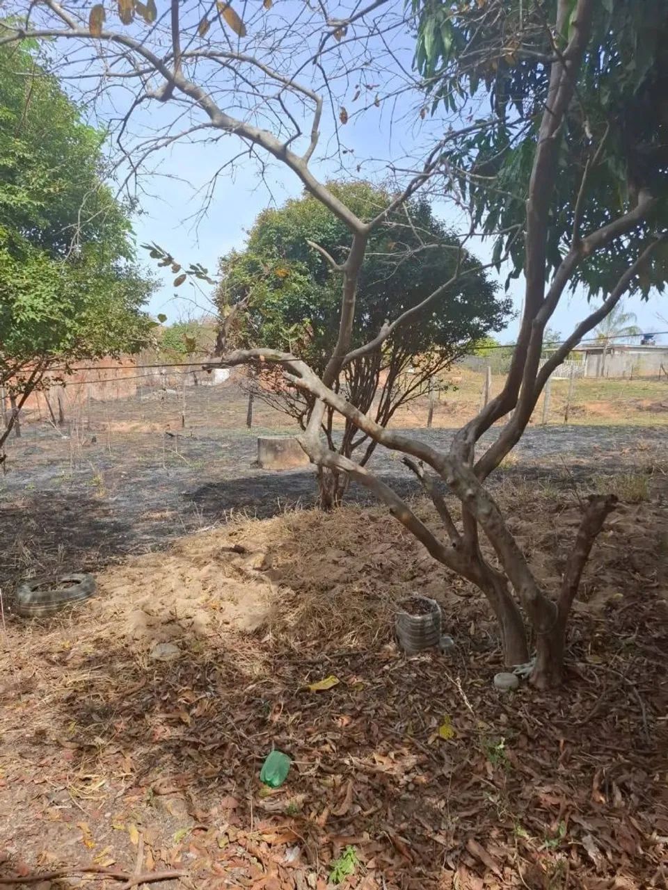 Chácara  - Foto 4