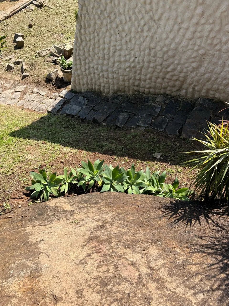 Limpeza e Manutenção de Jardim - Foto 4
