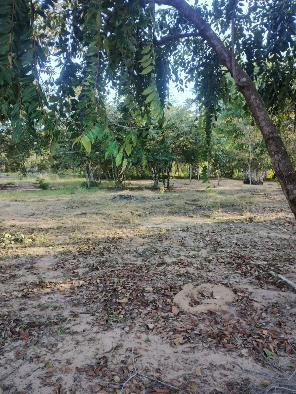 CHÁCARA À VENDA NO CANTÁ - RR - Foto 4