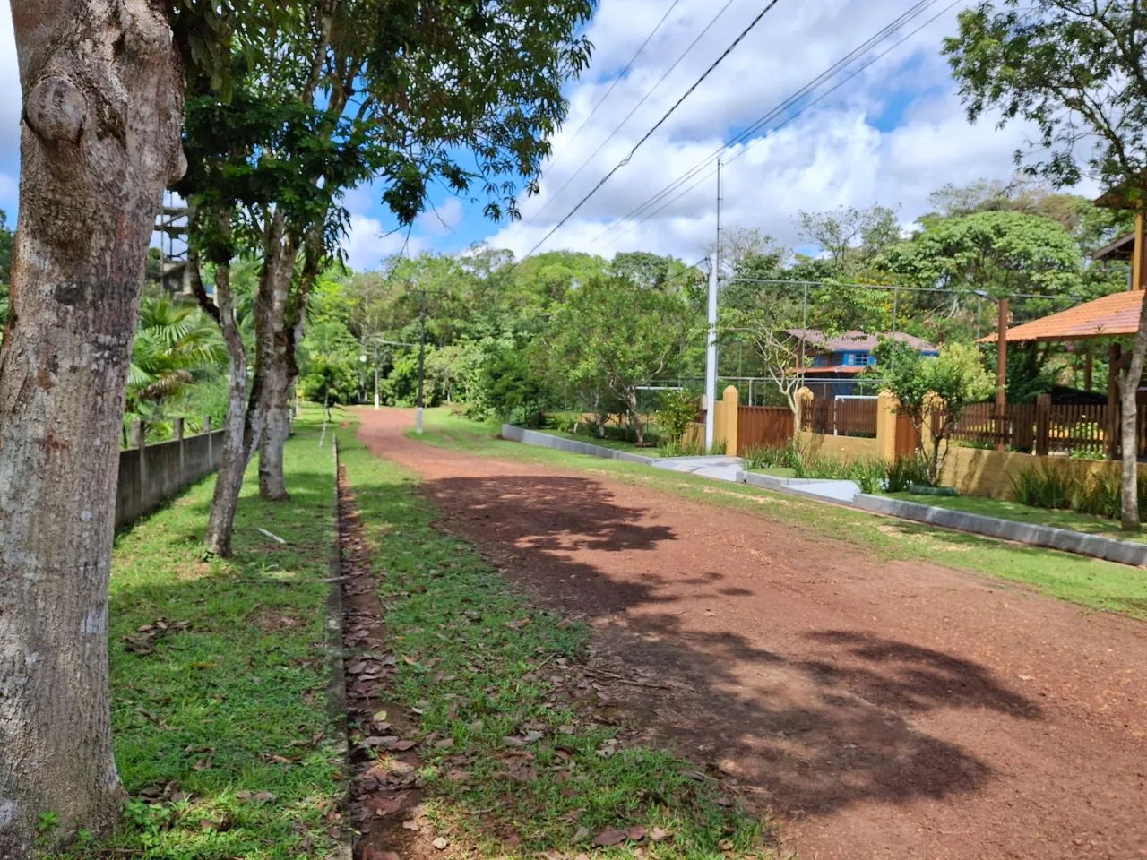 VENDO LOTE COND RURAL AMAZONFLORA- BENEVIDES/PA - Foto 2
