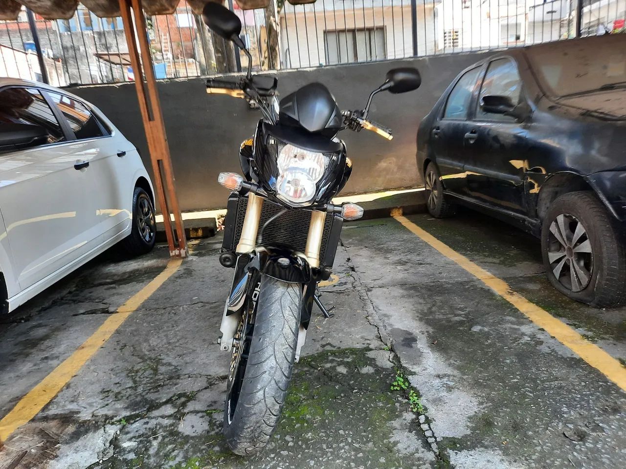 Hornet 600  - Foto 5