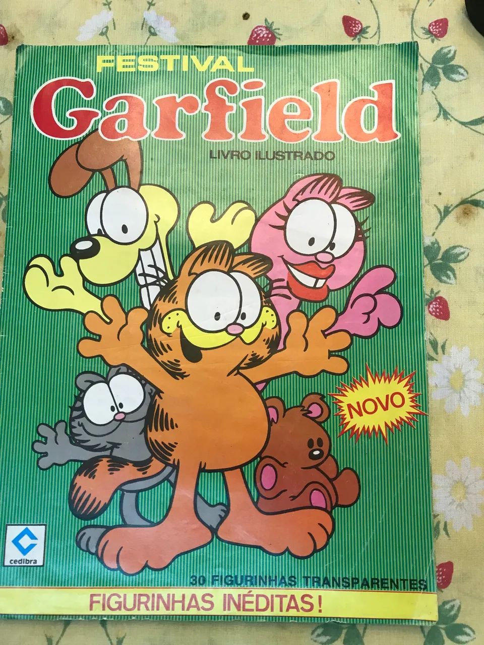 Álbum de Figurinhas Festival Garfield Cedibra - Livros e revistas