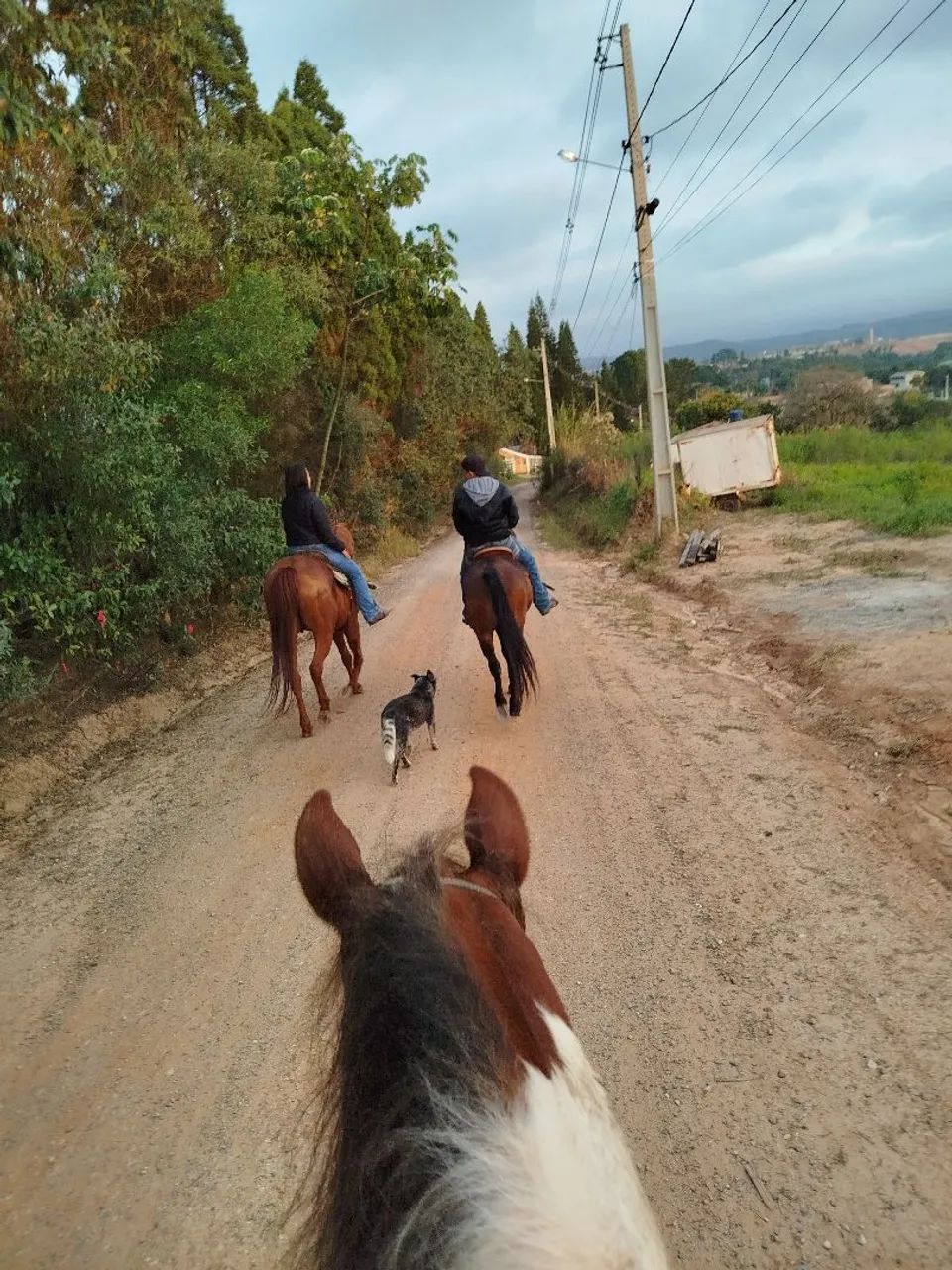 Passeios a cavalo , aulas .... Venha conferir - Foto 2