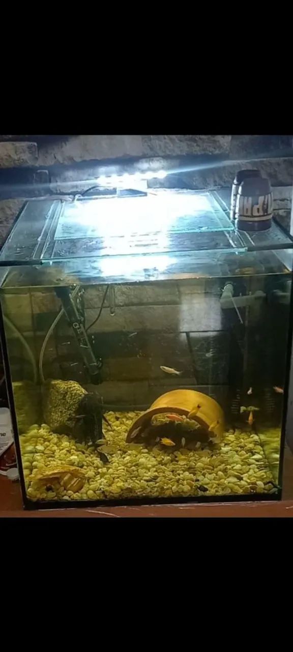 Aquário 64 litros - Foto 5